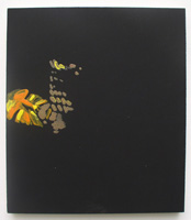 Erik Bakke Saddam Hussein 2007