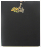 Erik Bakke Saddam Hussein 2007