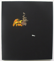 Erik Bakke Saddam Hussein 2007