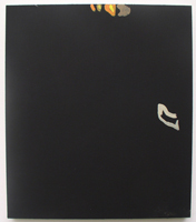 Erik Bakke Saddam Hussein 2007