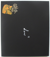 Erik Bakke Saddam Hussein 2007