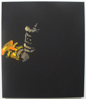 Erik Bakke Saddam Hussein 2007