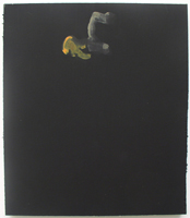 Erik Bakke Saddam Hussein 2007