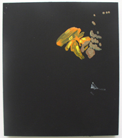 Erik Bakke Saddam Hussein 2007