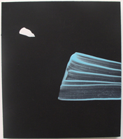 Erik Bakke Saddam Hussein 2007